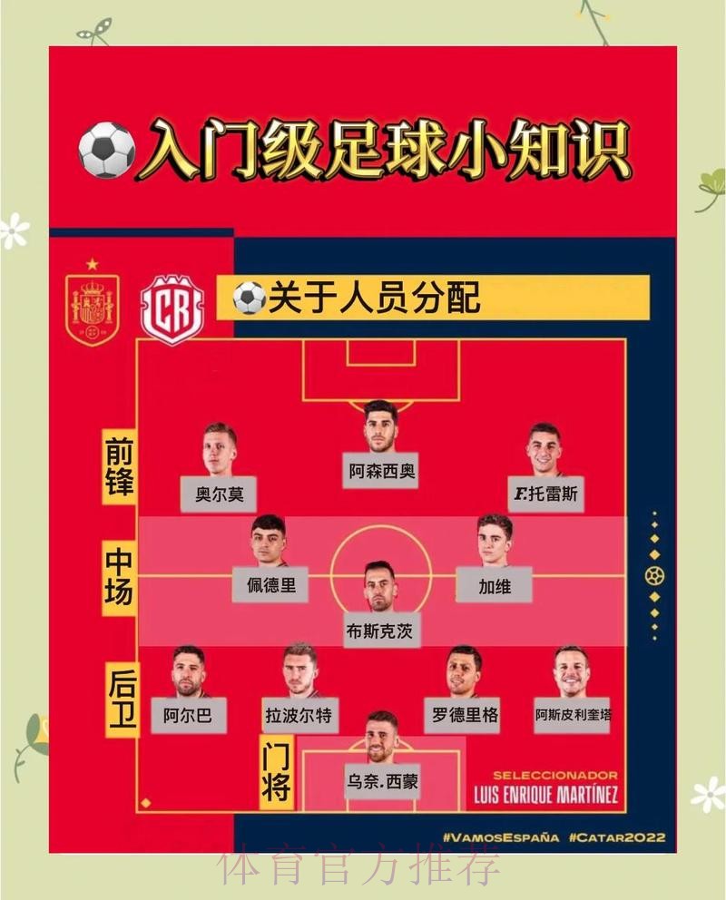 全面解析世界杯足球赛投注技巧与方法